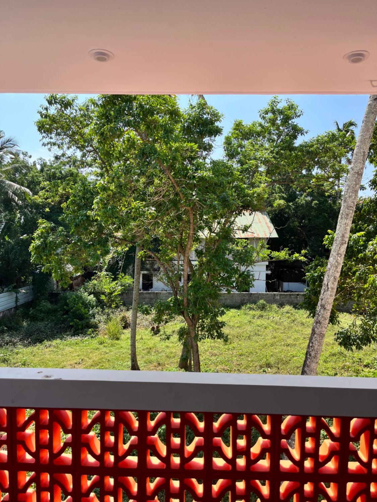 Bava Beach Resort & Retreat Center فاركَالا المظهر الخارجي الصورة